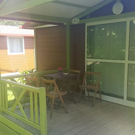 Camping Covadonga Soto De Cangas