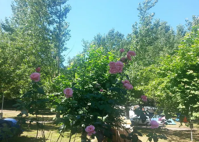 Campingplatz Covadonga *